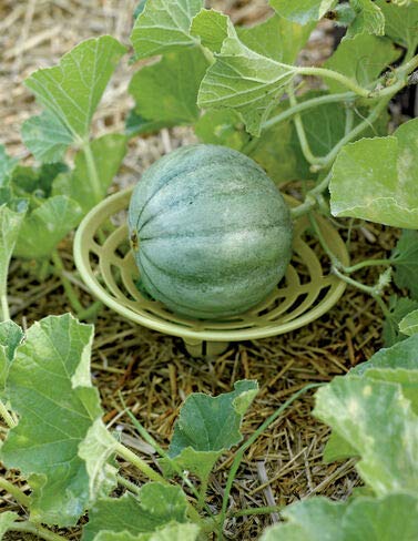 Gardener S Supply Company Melon And Squash Cradles Set Of 6