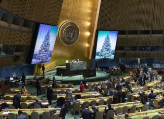 Yemen: Security Council votes on final extension of Hudaydah Mission