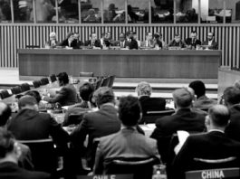 Global measles cases surge as 30 million children miss vaccines, UN health agency warns