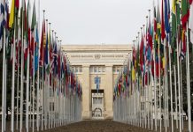 Gaza, mujeres en los conflictos, comercio mundial, Yemen… las noticias del lunes