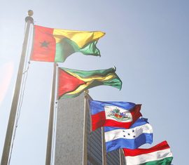 ‘Traditional medicine is the cultural heritage of every nation,’ WHO official says at global summit |