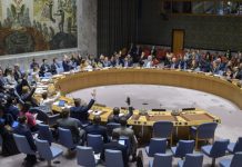 Green light for Gang Suppression Force tells Haitians ‘they are not alone’, Security Council hears