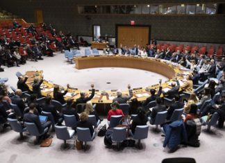 Every step a struggle:’ Nigerian woman with disabilities leads push for dignity and inclusion