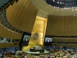 UN rights office condemns ‘apparent summary execution’ of two men in the West Bank