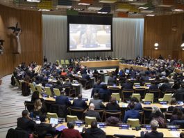 ‘When finance flows, ambition grows”: COP30’s call for action