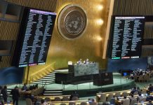 La ONU en Minutos 20 de octubre de 2025