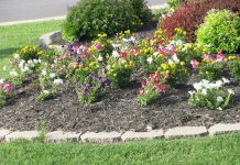 Government of Nigeria, IOM, Kingdom of Netherlands Bolster Support for Sustainable Community Development through the Community Based Planning Initiative.