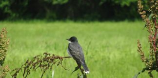 Universe-origin scientist shares 3 world-shaking, lifesaving truths about the separation of science and faith no one tells you – Science180