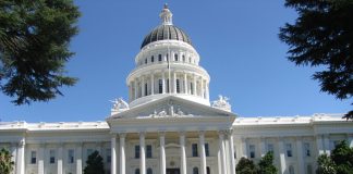 From Colonial America and Minnesota to Occupied Palestine