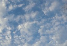 Ill-Advised and Problematic — by Dr. Ron Daniels