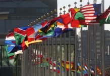Desmatamento global desacelera, mas florestas continuam sob pressão |