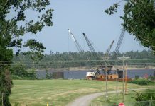 Displacement in Sudan Crosses 11 Million as Devastating Crisis Reaches New Heights: IOM Chief