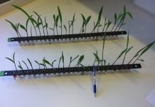 Global Camp Coordination Camp Management Cluster Condemns Attacks on Displacement Sites in Gaza