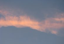 IOM and Microsoft Collaborate to Address Climate-Driven Displacement