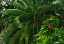 IOM Chief Commits to Strengthen Migration Management and Climate Action in Inaugural Botswana Visit