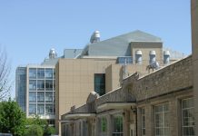 Citizen And Patriotic Migration (Jem-Cameroon): An All-Round Commitment In Favor Of Young Cameroonians