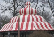 Contribute to the HSP Haiti Crisis Fund