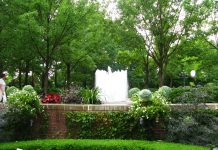 IOM Champions Well-Managed Migration as Global Solution at World Economic Forum