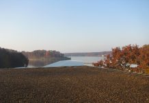 What Would Martin Do? By Dr. Julianne Malveaux