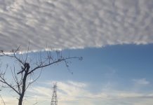 Is Culture the Key Crisis in Black Life?