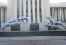 270+ “No to Trump” Actions on January 18 — By Ted Glick