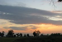 IOM Chief Visits Jordan, Highlighting Syrian Returns and Gaza Humanitarian Response