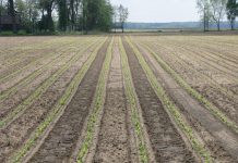 IOM Statement on Rising Demands for Return Assistance