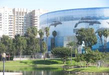 DHL Group and IOM Forge Global Partnership to Enhance Lifesaving, Humanitarian Logistics