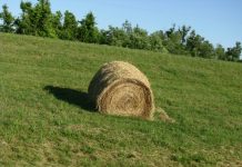 IOM Statement on the Proposal for a Common European System for Returns