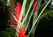 Japan Pledges USD 55 Million in Support of IOM’s Operations in 33 Countries