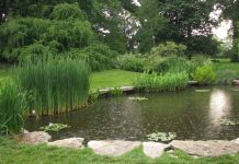 Over 180 Migrants Feared Dead After Shipwrecks Off Yemen’s Coast