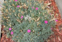 Joint Statement by the Solutions Champions Marking 27 Years of the Guiding Principles on Internal Displacement