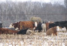 IOM, University of Pennsylvania Partner to Harness Innovation for Global Migration Challenges