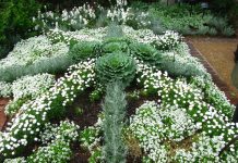 IOM and Partners Meet in Istanbul to Strengthen Cooperation on Migrant Protection and Governance