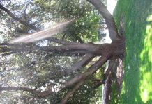 IOM Spokesperson on the Tragic Migrant Deaths Off Egypt’s Coast