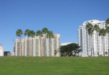 IOM Director General's Message on World Environment Day 2025