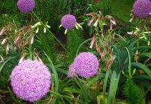 IOM Spokesperson on Deadly Attack Against Humanitarian Convoy in Sudan