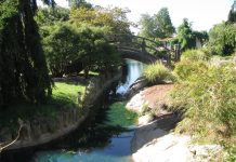 A New Nasty Noxious Sheriff’s in Town