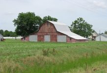 Authoritarian wave in US shows democracy’s fragility, South African scholar says