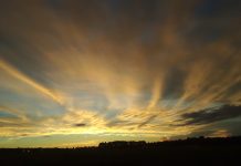 DC and Chocolate Cities in Danger