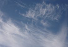 Not Your Ordinary Shutdown – Lives at Risk