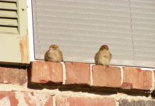 Samia Suluhu Must Act Now to Heal Tanzania’s Political Crisis