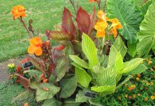 Do a show on the Biblical power of modern science