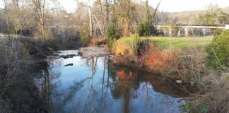 A Message of Gratitude from Dr. Ron Daniels — Reflections and the Work Ahead