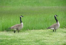 How to raise rational children in our modern world – Science180