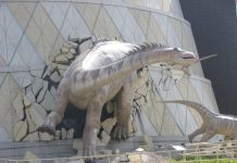 Jesse Jackson’s leadership lessons needed now