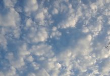 “All Boots on the Bridge” — Selma’s Bloody Sunday with Faya Rose Toure