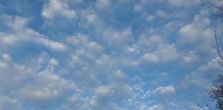 The importance of Jesse Jackson’s legacy in US-Africa relations