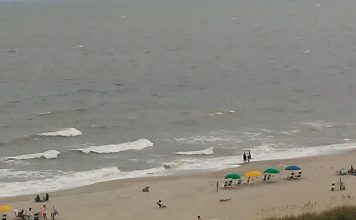 PAUD Calls on Black Leaders and Organizations to Oppose U.S. Push for Regime Change in Cuba