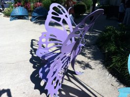 A Complementary and Species-Compelling Need